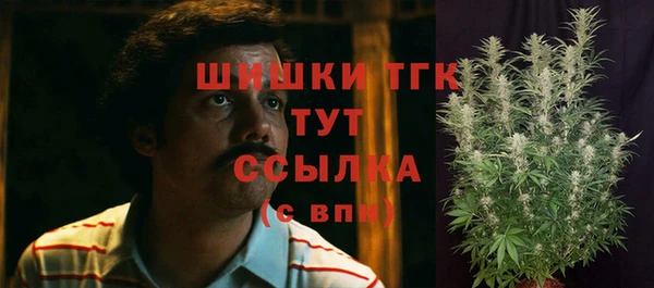 трава Алзамай