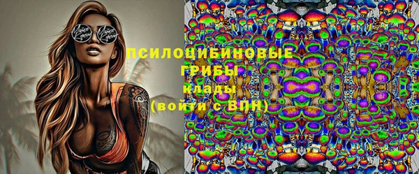 стафф Алексин
