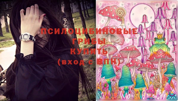 стафф Алексин