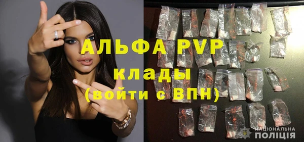 стафф Алексин