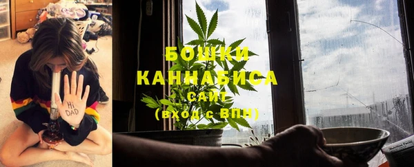 винт Касимов